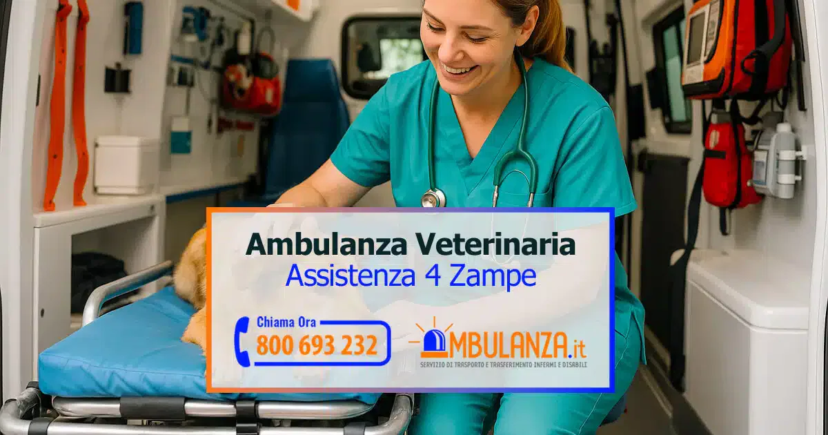 Ambulanza veterinaria, assistenza animali, contatto telefonico disponibile.