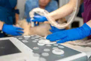 Servizio ambulanza veterinaria